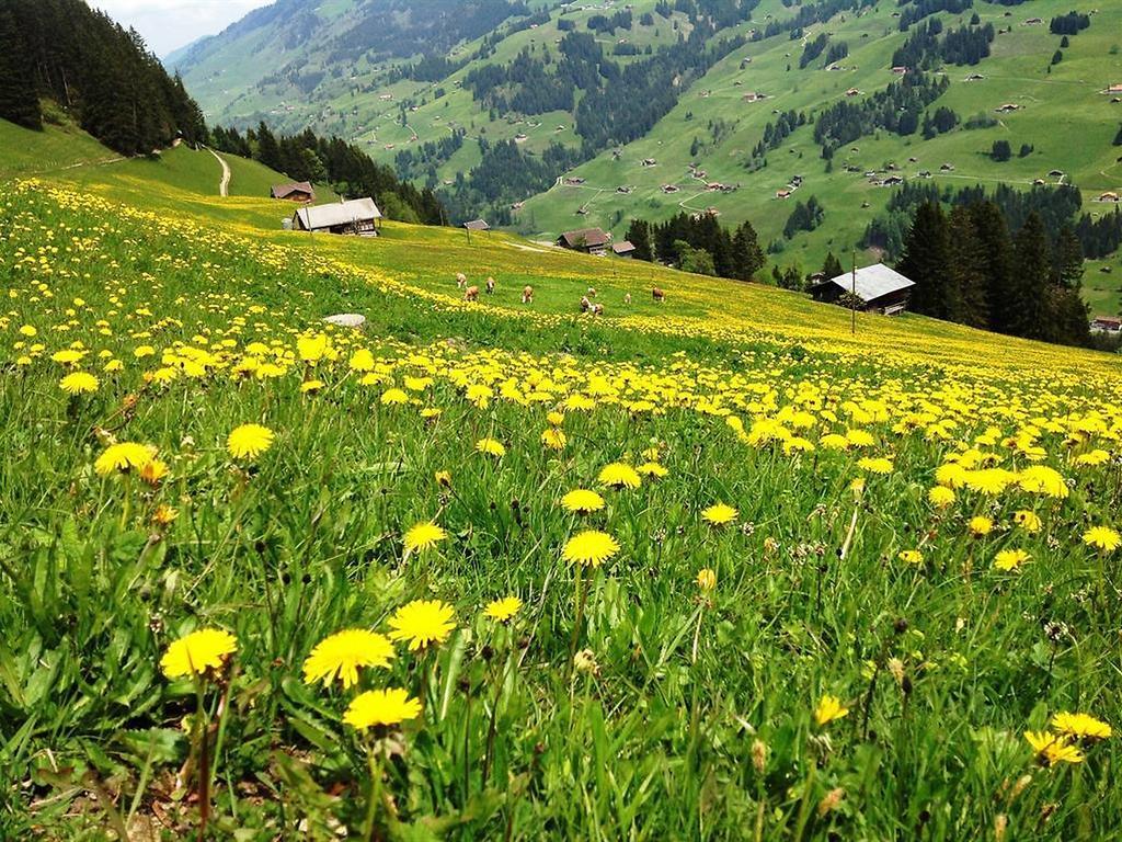 Hotel Hari Im Schlegeli Adelboden Exterior foto